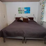 4 Star In *